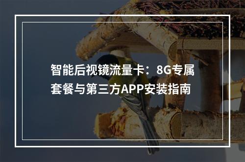 智能后视镜流量卡：8G专属套餐与第三方APP安装指南