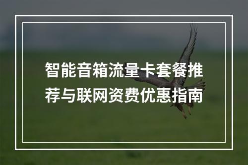 智能音箱流量卡套餐推荐与联网资费优惠指南