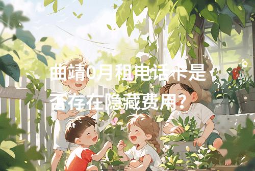 曲靖0月租电话卡是否存在隐藏费用？