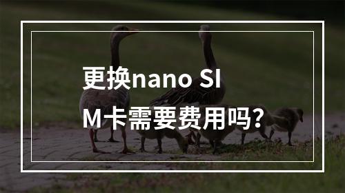 更换nano SIM卡需要费用吗？