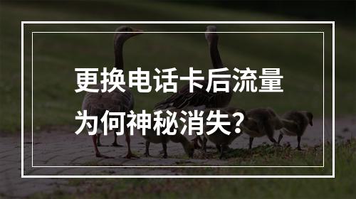 更换电话卡后流量为何神秘消失？