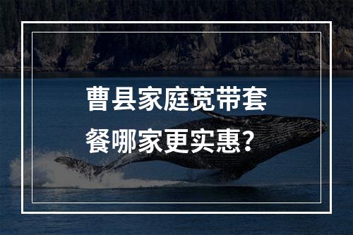 曹县家庭宽带套餐哪家更实惠？