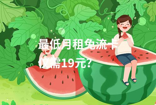 最低月租免流卡仅需19元？