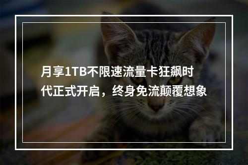 月享1TB不限速流量卡狂飙时代正式开启，终身免流颠覆想象