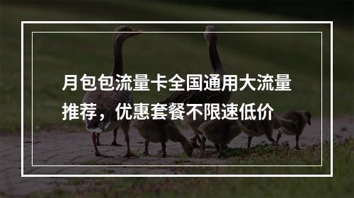 月包包流量卡全国通用大流量推荐，优惠套餐不限速低价