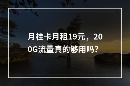 月桂卡月租19元，200G流量真的够用吗？
