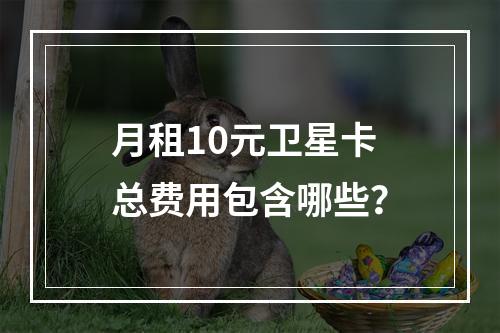月租10元卫星卡总费用包含哪些？