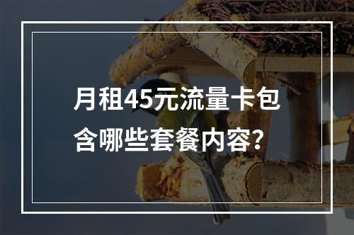 月租45元流量卡包含哪些套餐内容？