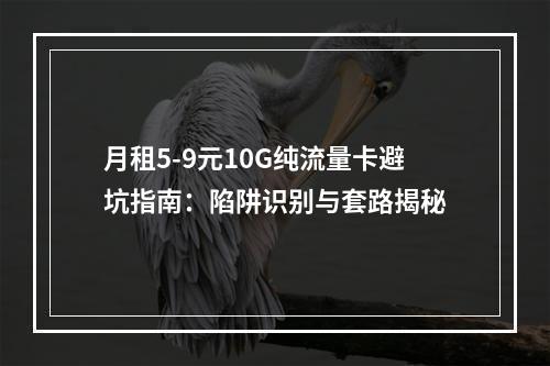 月租5-9元10G纯流量卡避坑指南：陷阱识别与套路揭秘