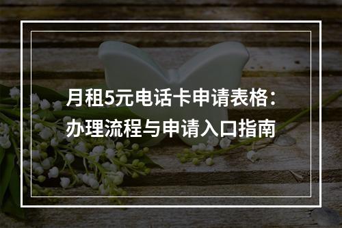 月租5元电话卡申请表格：办理流程与申请入口指南