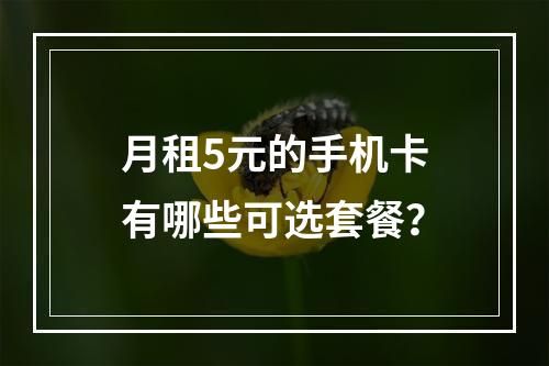 月租5元的手机卡有哪些可选套餐？