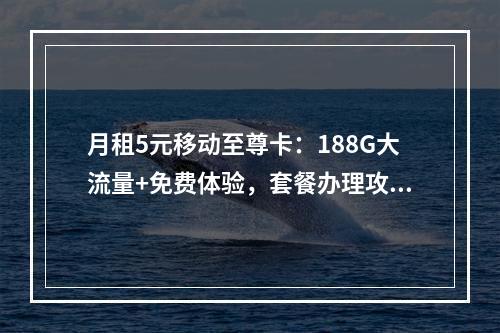 月租5元移动至尊卡：188G大流量+免费体验，套餐办理攻略