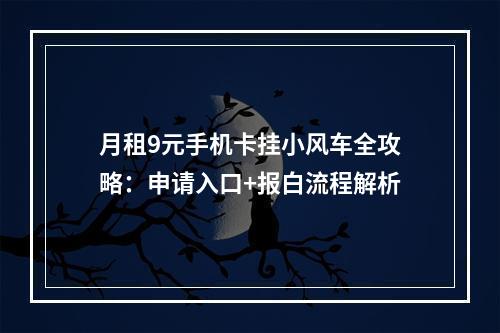 月租9元手机卡挂小风车全攻略：申请入口+报白流程解析