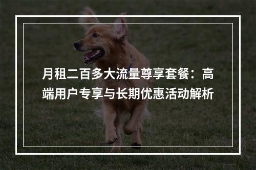月租二百多大流量尊享套餐：高端用户专享与长期优惠活动解析
