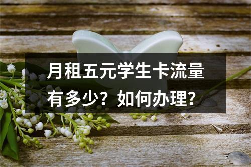 月租五元学生卡流量有多少？如何办理？