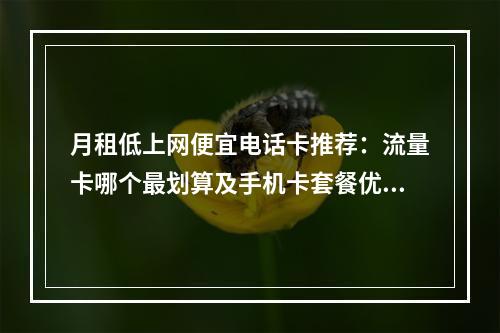 月租低上网便宜电话卡推荐：流量卡哪个最划算及手机卡套餐优惠合集