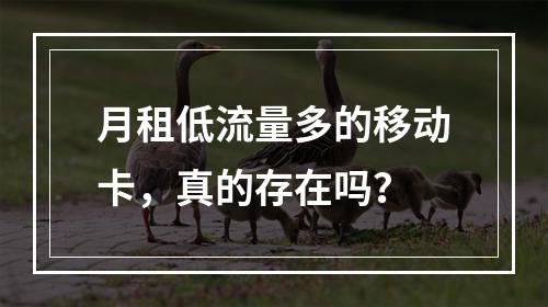 月租低流量多的移动卡，真的存在吗？