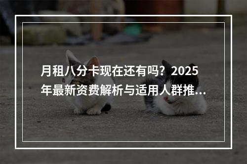 月租八分卡现在还有吗？2025年最新资费解析与适用人群推荐