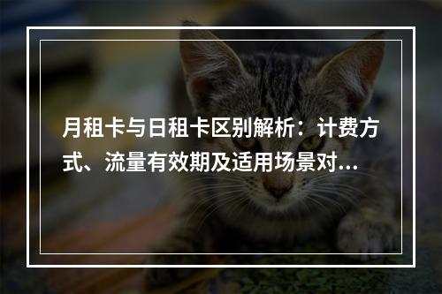 月租卡与日租卡区别解析：计费方式、流量有效期及适用场景对比
