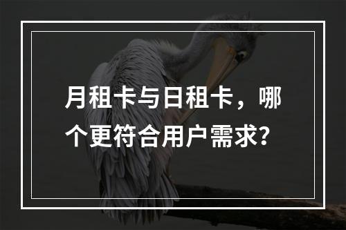 月租卡与日租卡，哪个更符合用户需求？