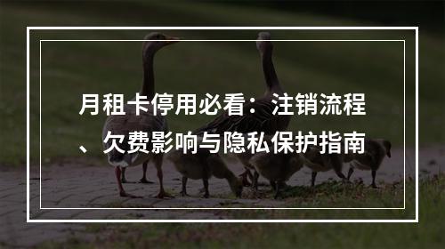 月租卡停用必看：注销流程、欠费影响与隐私保护指南