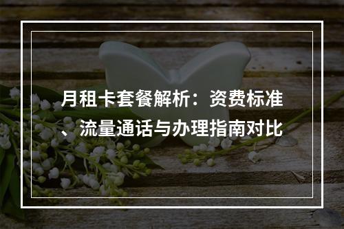 月租卡套餐解析：资费标准、流量通话与办理指南对比
