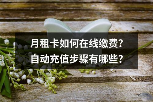 月租卡如何在线缴费？自动充值步骤有哪些？