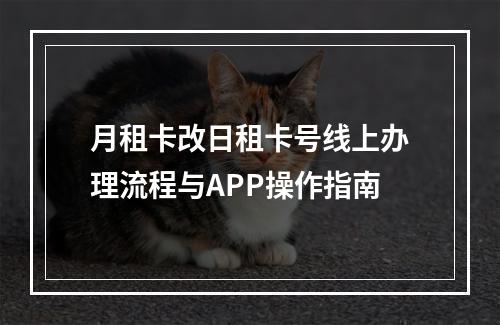 月租卡改日租卡号线上办理流程与APP操作指南