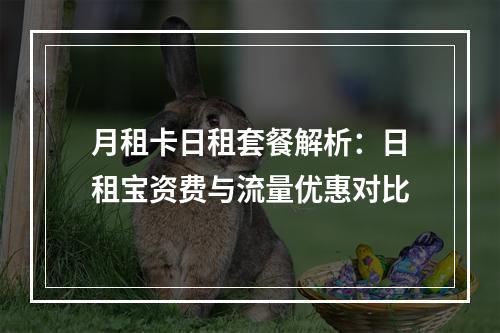 月租卡日租套餐解析：日租宝资费与流量优惠对比