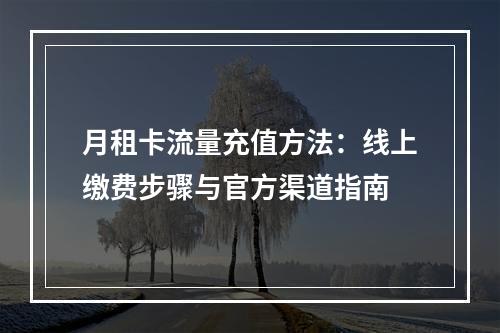 月租卡流量充值方法：线上缴费步骤与官方渠道指南