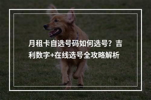 月租卡自选号码如何选号？吉利数字+在线选号全攻略解析