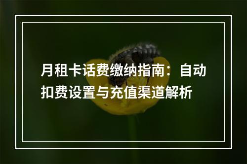 月租卡话费缴纳指南：自动扣费设置与充值渠道解析