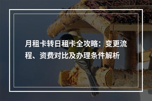 月租卡转日租卡全攻略：变更流程、资费对比及办理条件解析