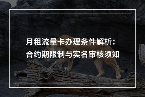 月租流量卡办理条件解析：合约期限制与实名审核须知