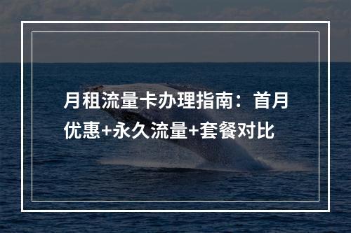 月租流量卡办理指南：首月优惠+永久流量+套餐对比