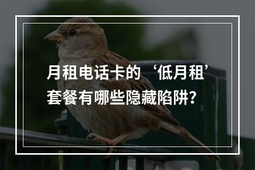 月租电话卡的‘低月租’套餐有哪些隐藏陷阱？