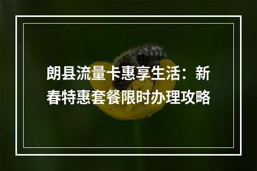 朗县流量卡惠享生活：新春特惠套餐限时办理攻略