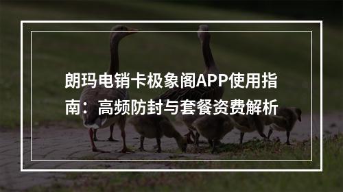 朗玛电销卡极象阁APP使用指南：高频防封与套餐资费解析