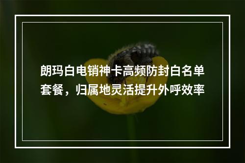 朗玛白电销神卡高频防封白名单套餐，归属地灵活提升外呼效率
