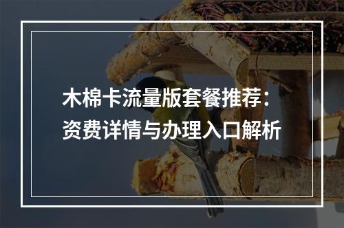 木棉卡流量版套餐推荐：资费详情与办理入口解析