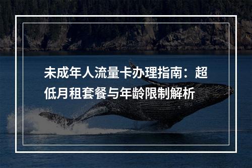 未成年人流量卡办理指南：超低月租套餐与年龄限制解析