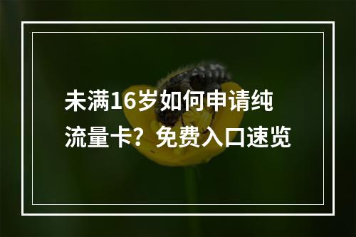 未满16岁如何申请纯流量卡？免费入口速览