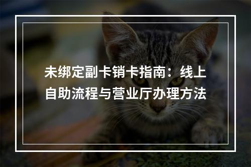 未绑定副卡销卡指南：线上自助流程与营业厅办理方法