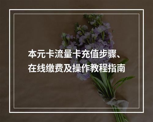 本元卡流量卡充值步骤、在线缴费及操作教程指南