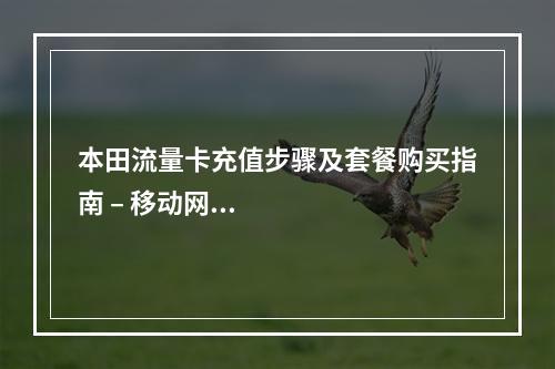 本田流量卡充值步骤及套餐购买指南 – 移动网络一键续费
