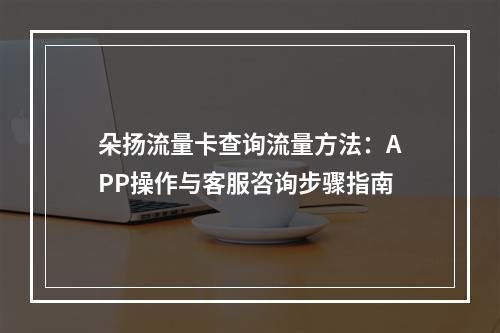 朵扬流量卡查询流量方法：APP操作与客服咨询步骤指南