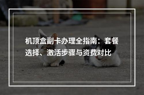 机顶盒副卡办理全指南：套餐选择、激活步骤与资费对比