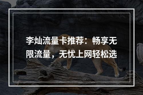 李灿流量卡推荐：畅享无限流量，无忧上网轻松选
