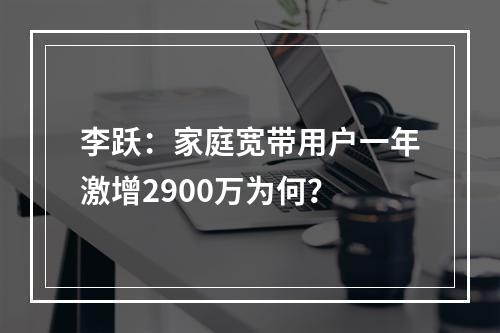 李跃：家庭宽带用户一年激增2900万为何？