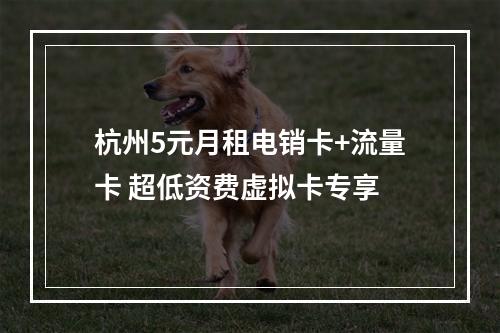 杭州5元月租电销卡+流量卡 超低资费虚拟卡专享